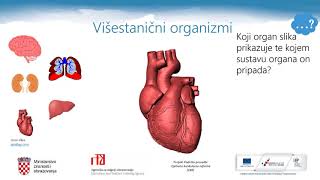 Biologija 7 r OŠ  Organizacijske razine živog svijeta [upl. by Olivero278]