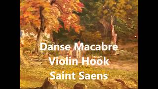 Saint Saens  Danse Macabre Violin Hook [upl. by Nekciv]