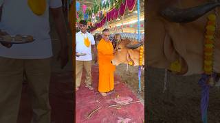 gopashtami santshriasharamjibapu suratashramlive [upl. by Joachima]