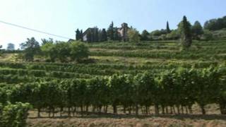 Franciacorta Wine  Italy [upl. by Casimire654]