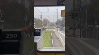 Führerstandsmitfahrt mit der Straßenbahn in Karlsruhe train [upl. by Shwalb]