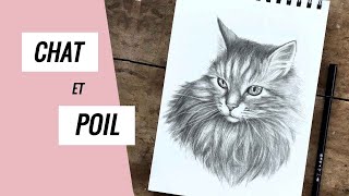 Comment dessiner un chat réaliste avec du poil ou de la fourrure [upl. by Mika]