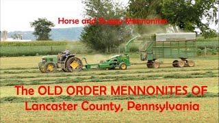 OLD ORDER MENNONITES and the LAND They Live On Lancaster County Pennsylvania Horse and Buggy [upl. by Ber]