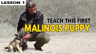 First Things to Teach Your MALINOIS Puppy [upl. by Pietra]