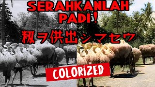 Serahkanlah Padi 1943 Film Propaganda Zaman Pendudukan Jepang ColorizedVersi Warna HD [upl. by Aelaza948]