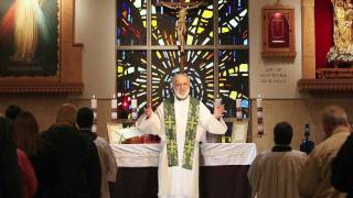 Sacraments 101 Holy Orders what ordination means [upl. by Hgielrebma]