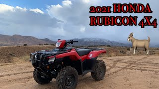 FIRST DRIVE IN THE 2021 HONDA FOURTRAX FOREMAN 4X4 [upl. by Timms]