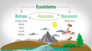 EL BIOTOPO Y LA BIOCENOSIS [upl. by Sheilah452]