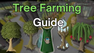 Tree Farming Run Guide  199 Farming OSRS [upl. by Berthold980]