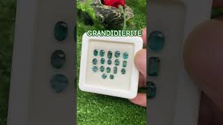 💎 Lustrous GRANDIDIERITE Lot ✨ A Collection of Rare Gems for True Connoisseurs gemstones shorts [upl. by Combe901]