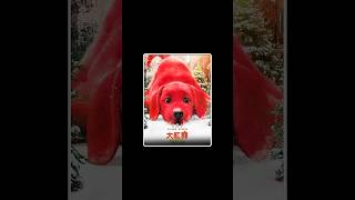 the big red dog full movie Explain in third part। reddog movie shorts [upl. by Edouard]