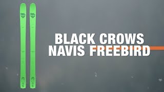 Black Crows Navis Freebird 20192020 Ski Review  Ellis Brigham [upl. by Assenad]