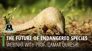 Webinar The Future Of Endangered Species [upl. by Hazaki]