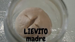 LIEVITO MADRE FATTO IN CASA [upl. by Nowd]