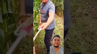 Casi funciona 🤣 milpa rancho agricultura tractor implementosagricolas [upl. by Oicirbaf]