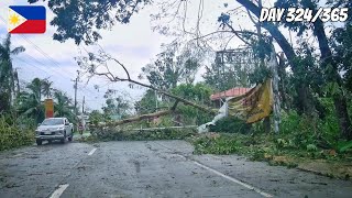 SUPER TYPHOON ODETTE HITS BOHOL  The Next Morning  No Comment [upl. by Sproul]