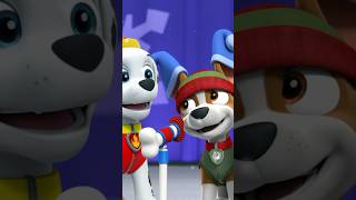 PAW Patrol  La Pat Patrouille  Les chiots chantent au spectacle de fin dannée  ❄️ Shorts [upl. by Aric738]