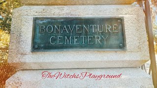 Exploring Old Cemeteries Bonaventure Cemetery Savannah GA bonaventurecemetery cemeterylovers [upl. by Ahsiadal828]