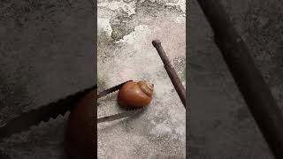 Casting Melting Aluminum into Snail out of Scrap to Make Art shorts viralvideo reels art [upl. by Cohla]