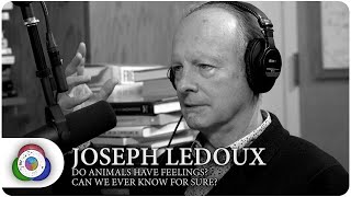 Joseph LeDoux  Do Animals Have Feelings Can We Ever Know For Sure [upl. by Caesar]