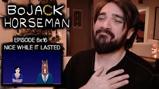 BoJack Horseman 6x16 quotNice While It Lastedquot REACTION amp REVIEW [upl. by Ybbed]