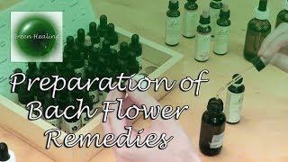 How to Prepare Bach Flower Remedies Green Healing S3E2 [upl. by Ataga]