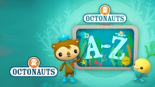 Octonauts Creatures A to Z UK Version [upl. by Ozzy544]