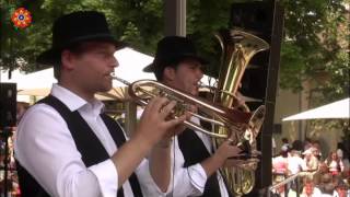 Weinviertler Mährische Musikanten  ZweiTurteltauben [upl. by Ellene]