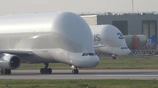 Airbus Belugas A300s landings and departures compilation at Hamburg Finkenwerder Airport [upl. by Ecahc]