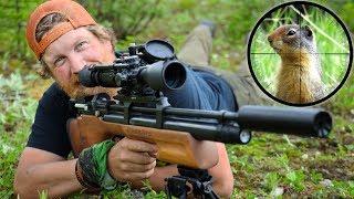 Air Rifle Hunting Ground Squirrels Catch amp Cook Day 12 of 30 Day Survival Challenge Canadian Rockies [upl. by Alrich846]