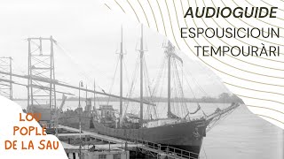 AUDIOGUIDE PRO  Espousicioun tempouràri  Espàci 09 [upl. by Jerz]