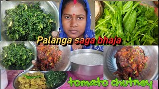 Pakhala eating  Palanga saga bhaja  Tomato chutney recipe in odia  manja aloo bhaja [upl. by Emylee]