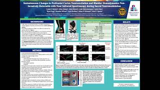 Instantaneous Changes in Prefrontal Cortex Neuroexcitation and Bladder Hemodynamics [upl. by Eniron]