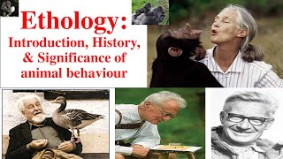 Ethology  Animal Behaviour  Introduction of Ethology History of Ethology Psychology and Ethology [upl. by Sej429]