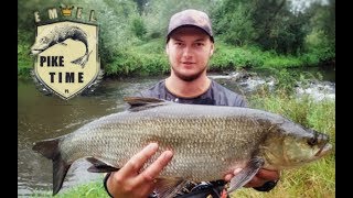 WIELKI boleń na spinning  70cm na woblera Dorado  mikado Chubster w roli głównej [upl. by Yraeg]