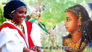 New oromoJimmaMusic sirba aadaa Oromo Jimma quotwayyo me shama [upl. by Gerick]