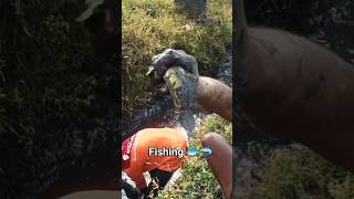 Fish Catching in Village 🐟Fishing 🎣machli pakadne wala video short viralshorts Humzavlogs07 [upl. by Nodnyl]