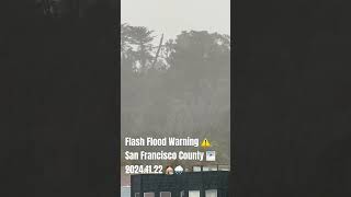 Flash flood warning for all of San Francisco County CA on 20241122 [upl. by Genesa658]