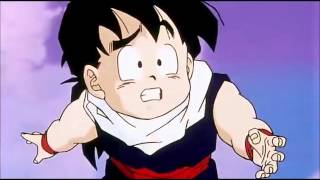 Gohan Vs Chi Chi Full Fight [upl. by Aroel]