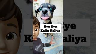 Miss You Kallu Kaliya 🥹  minivlog [upl. by Brookhouse454]