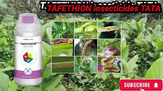 Tafethion insecticide TATA Ethion 50� [upl. by Leacock]