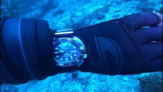 Top 10 Best Diver Watches For Men 2024 [upl. by Motch]