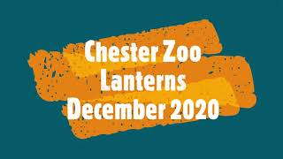 Chester Zoo Lanterns December 2020 [upl. by Sachs]