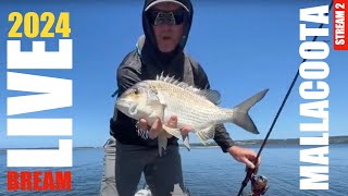 2024 BREAM Mallacoota  Day 2 Stream 2 [upl. by Airec]