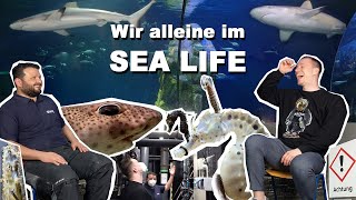 Sea Life DOKU  750000 Liter MEERWASSERAQUARIUM XXL Tour  Technikraum  Ich schaue mir alles an [upl. by Eilegna]