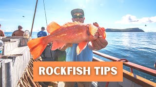 Rockfish Fishing Tips  Deep Sea Fishing in Southern California amp Orange County [upl. by Bohon]