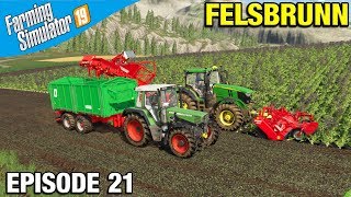 Farming Simulator 19 Timelapse  Felsbrunn FS19 Episode 21 WE BUY A SUGARBEET FIELD [upl. by Auod]