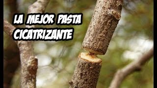 Como Hacer Pasta Cicatrizante Casera  Paso a Paso [upl. by Leirda806]