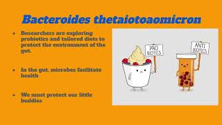 Bacteroides thetaiotaomicron [upl. by Oicneserc]