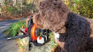 Echo backpack leaf blower PB755ST  bogs down  high throttle adjustment [upl. by Emelia]